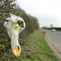 Interdiction des sacs plastique à usage unique en France