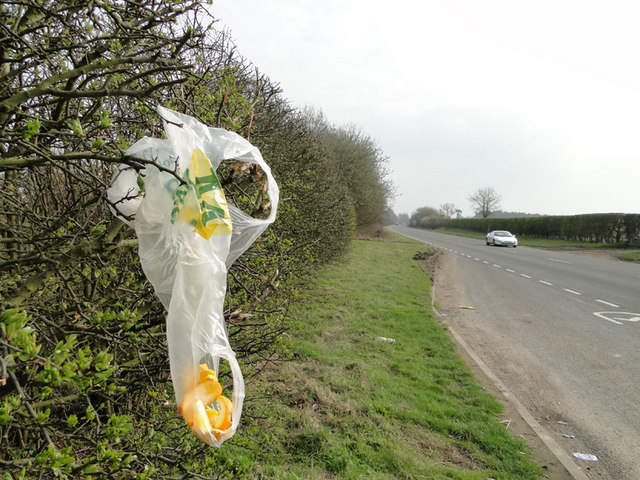 sac plastique jeté route