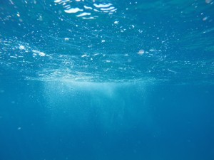 Les produits à ne pas mettre dans une microstation : les eaux claires