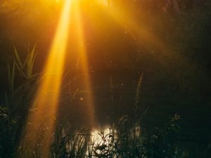 L'assainissement non collectif nous sert à protéger l'environnement !