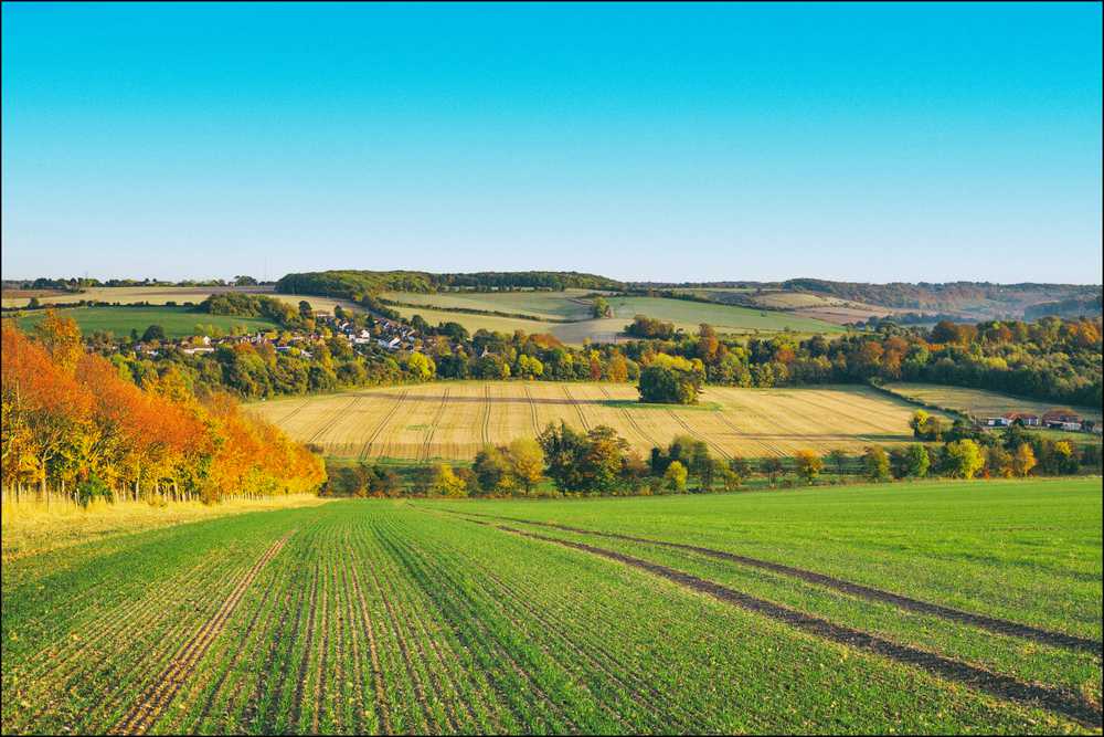 Prix d'une fosse septique écologique