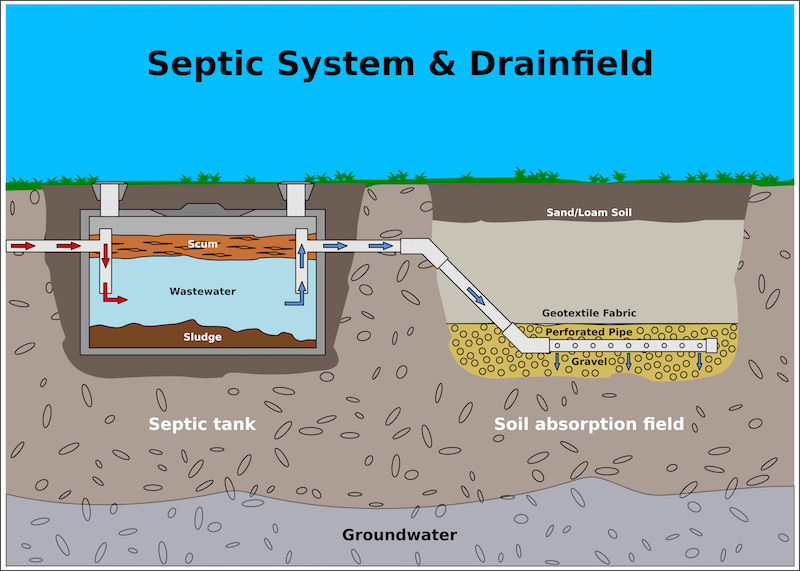 fosse septique image