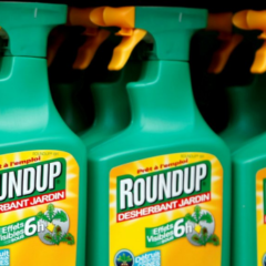 Monsanto pour Bayer : exemple de rachat qui tourne mal