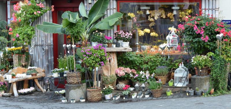 Chambre froide positive pour fleuriste