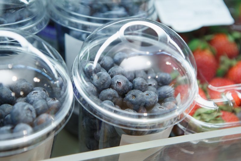 Chambre froide pour fruits et légumes