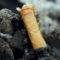 Isolant dans la construction – Le mégot de cigarette peut être une solution