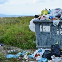 Revalorisation des déchets à Niort – Les enfants sensibilisés par le collectif Pontreau