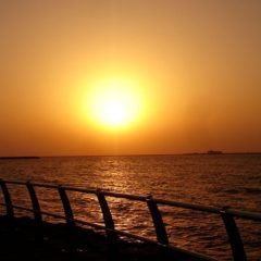 Abu Dhabi – Dessalement de l’eau de mer par Veolia