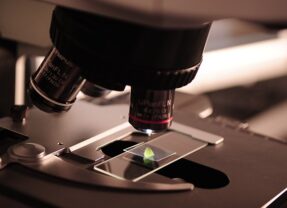 Biotechnologie spatiale : étude de l’ADN et impression d’organes en orbite