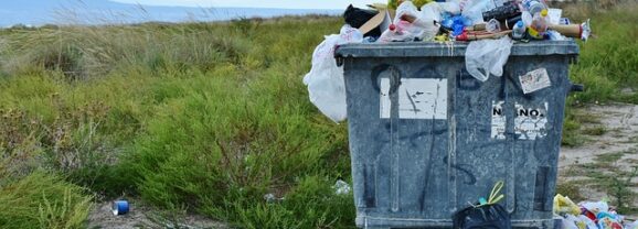 Trois initiatives martiniquaises pour le recyclage et la valorisation retenues