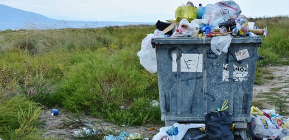 Trois initiatives martiniquaises pour le recyclage et la valorisation retenues