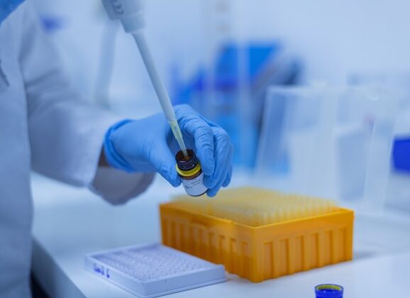 Utilisation des biotechnologies en faveur du développement durable