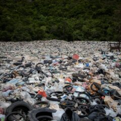 Valorisation des déchets – Paprec lance un ambitieux projet à La Réunion