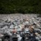 Valorisation des déchets – Paprec lance un ambitieux projet à La Réunion