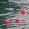 Veolia renforce sa position en Chine grâce à des technologies innovantes de traitement de l’eau
