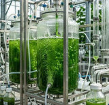 Biotechnologies – Des microbes pour capturer le carbone