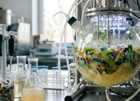 Les biotechnologies ouvrent de nouvelles voies pour valoriser les déchets plastiques