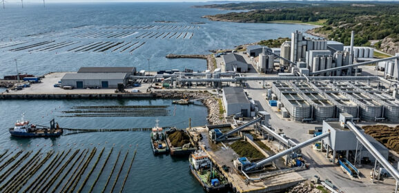 Bioéconomie marine – Salina accélère l’industrialisation européenne des macroalgues